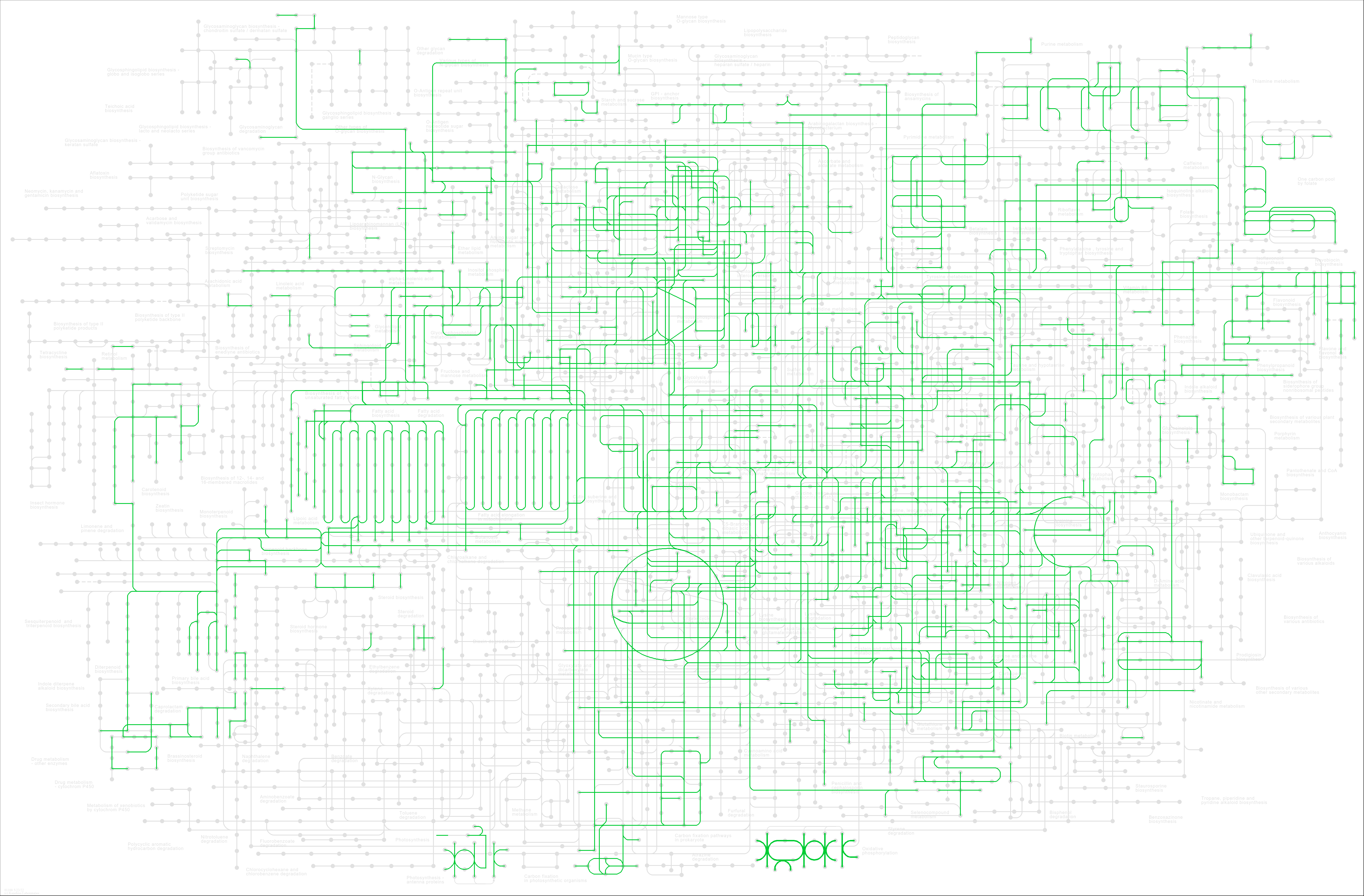 Genome annotation img 1